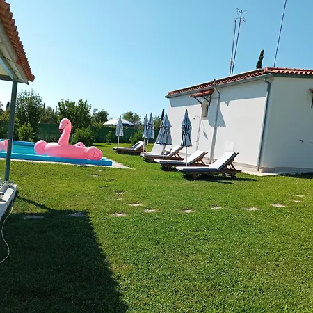 Fotis Vila